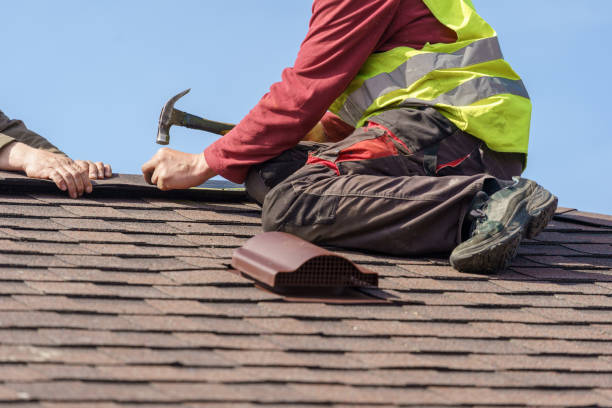 Best Roof Gutter Cleaning  in Vidalia, GA