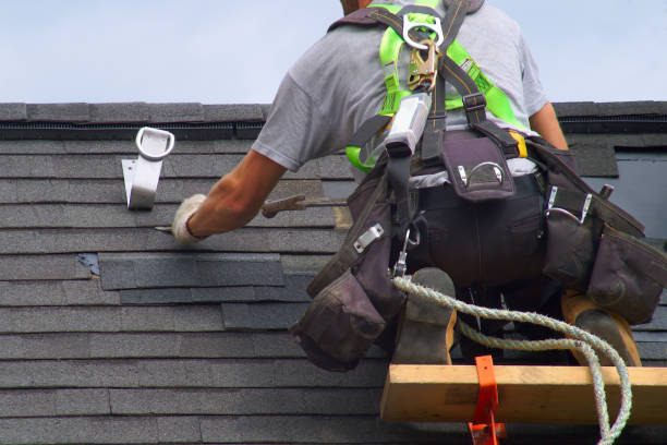 Best Roof Maintenance Services  in Vidalia, GA