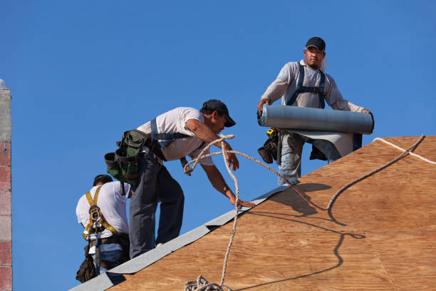 Best Gutter Installation and Roofing  in Vidalia, GA