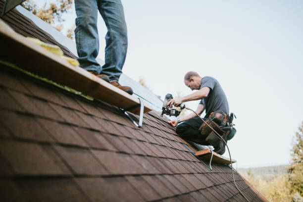 Best Metal Roofing Contractor  in Vidalia, GA